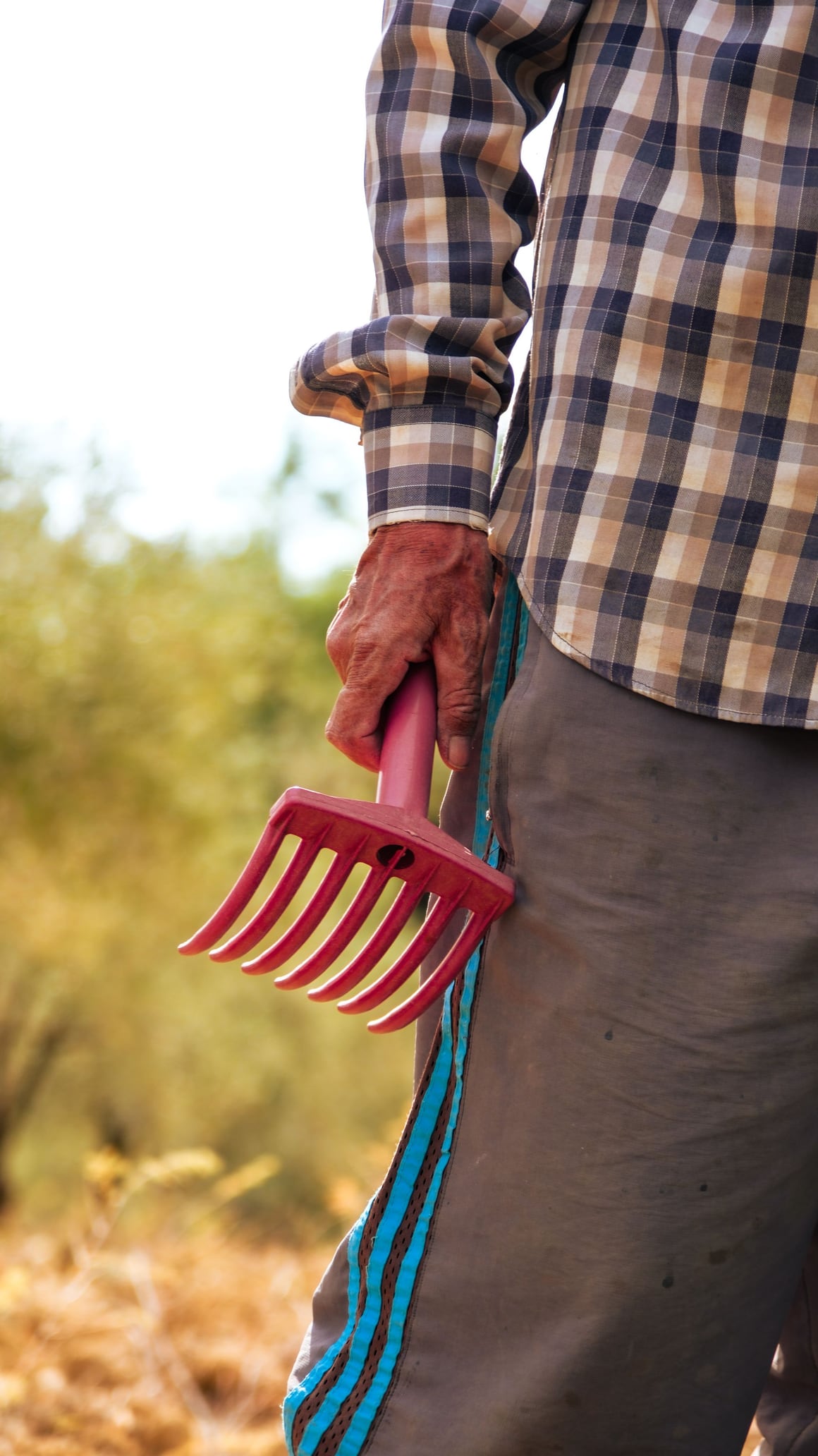 A person in a plaid shirt holding a red garden rake